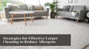 carpet cleaning strategies carpet cleaning strategies